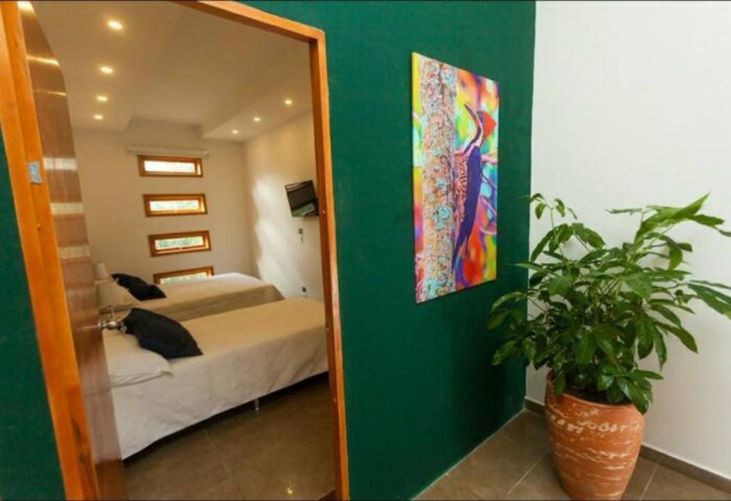 Albore Hostal Перейра Экстерьер фото